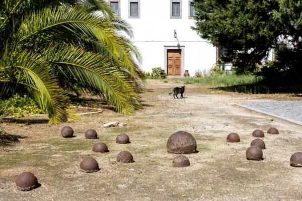 Mosteiro da Cartuxa - Foto 21