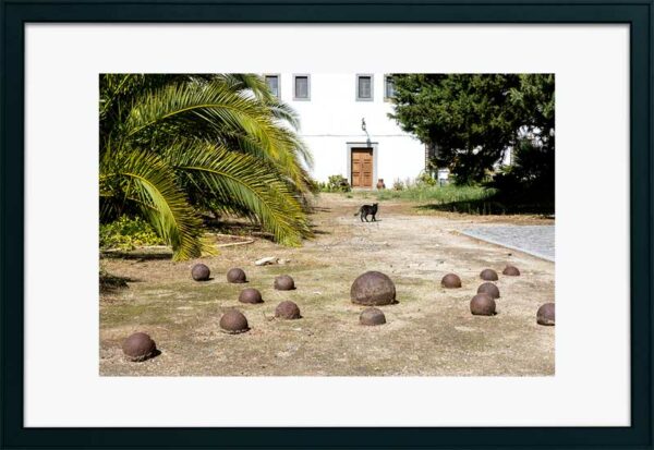 Mosteiro da Cartuxa - Foto 21