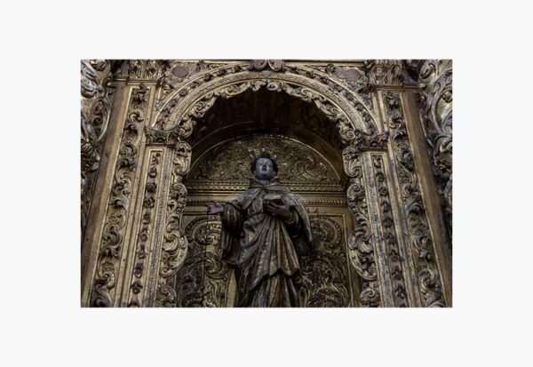 D.ALENTEJO2020_291_branco Mosteiro da Cartuxa - Foto 24