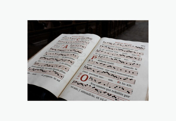 Mosteiro da Cartuxa - Foto 27