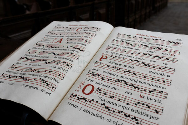 Mosteiro da Cartuxa - Foto 27