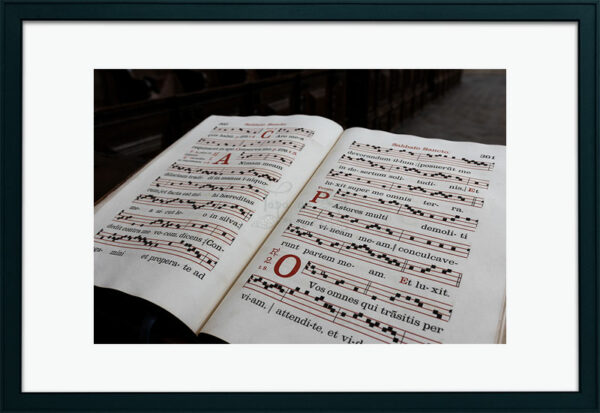 Mosteiro da Cartuxa - Foto 27