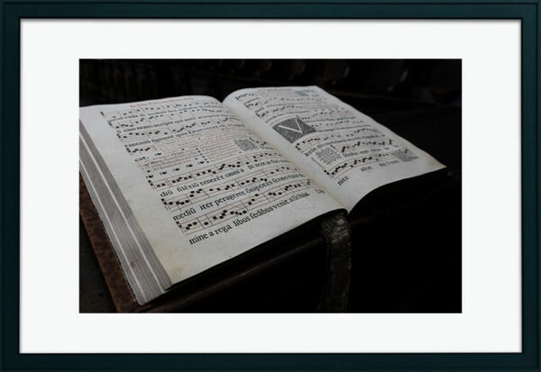 Mosteiro da Cartuxa - Foto 28