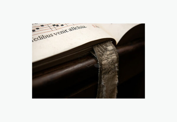 Mosteiro da Cartuxa - Foto 29