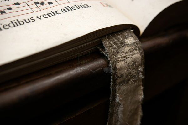 Mosteiro da Cartuxa - Foto 29