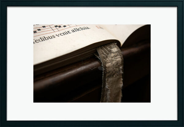 Mosteiro da Cartuxa - Foto 29