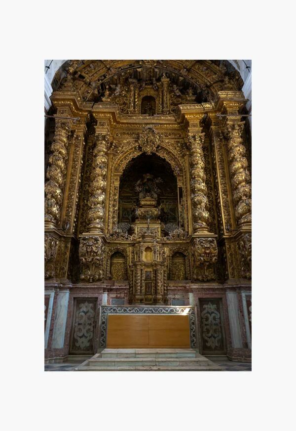 D.ALENTEJO2020_298_branco Mosteiro da Cartuxa - Foto 31