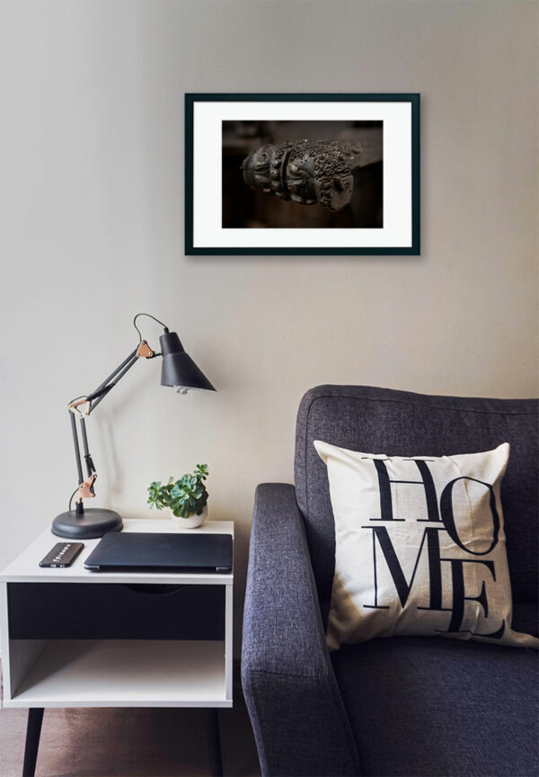 Mosteiro da Cartuxa - Foto 36