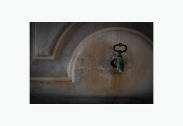 D.ALENTEJO2020_310_branco Mosteiro da Cartuxa - Foto 43