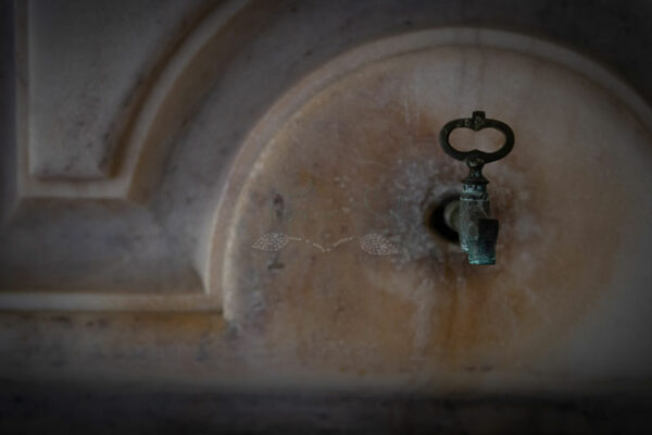 D.ALENTEJO2020_310_exemplo Mosteiro da Cartuxa - Foto 43