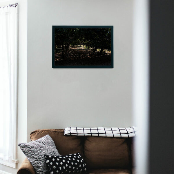 Mosteiro da Cartuxa - Foto 44