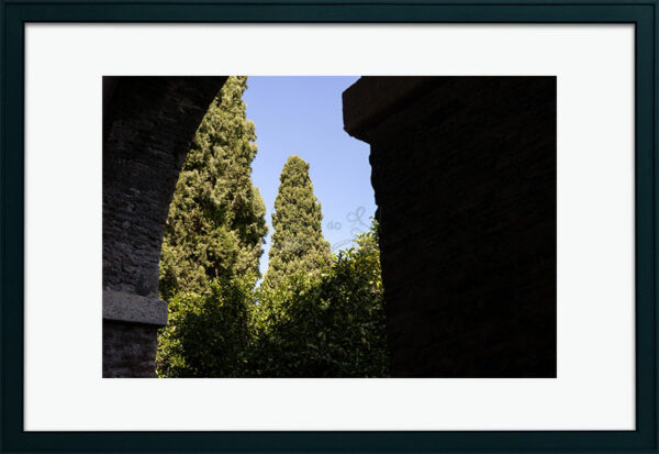 Mosteiro da Cartuxa - Foto 46