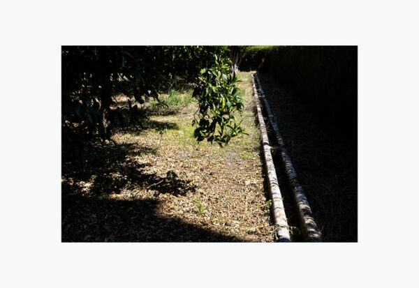 Mosteiro da Cartuxa - Foto 47