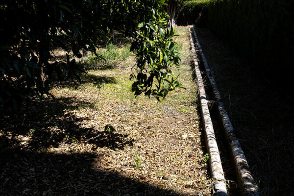 Mosteiro da Cartuxa - Foto 47