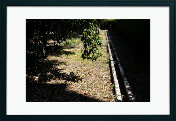 Mosteiro da Cartuxa - Foto 47