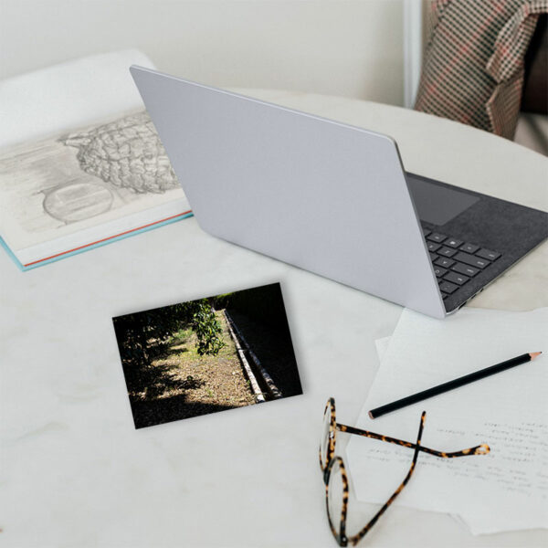 Mosteiro da Cartuxa - Foto 47