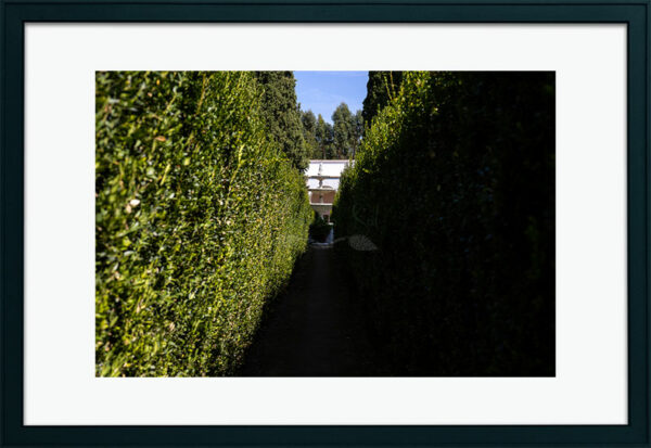 Mosteiro da Cartuxa - Foto 48