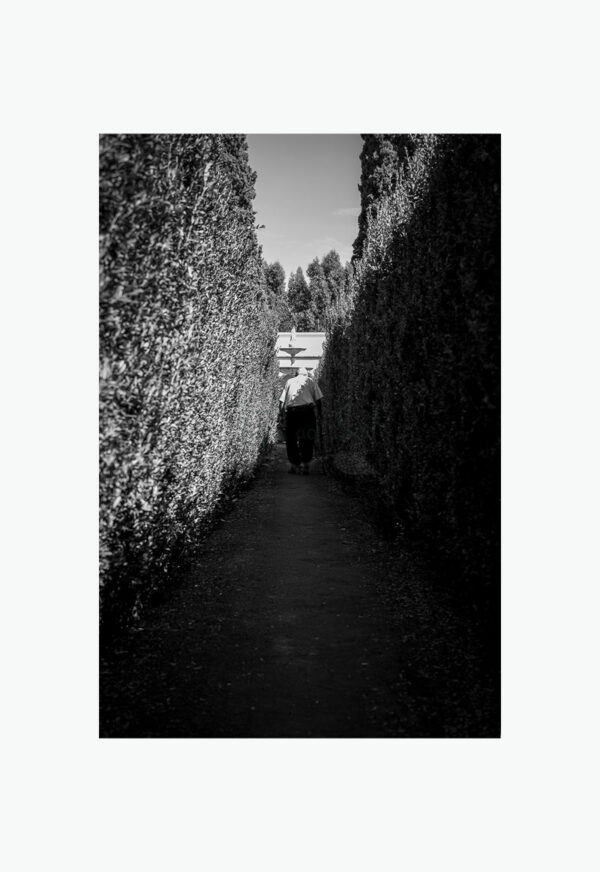 Mosteiro da Cartuxa - Foto 50