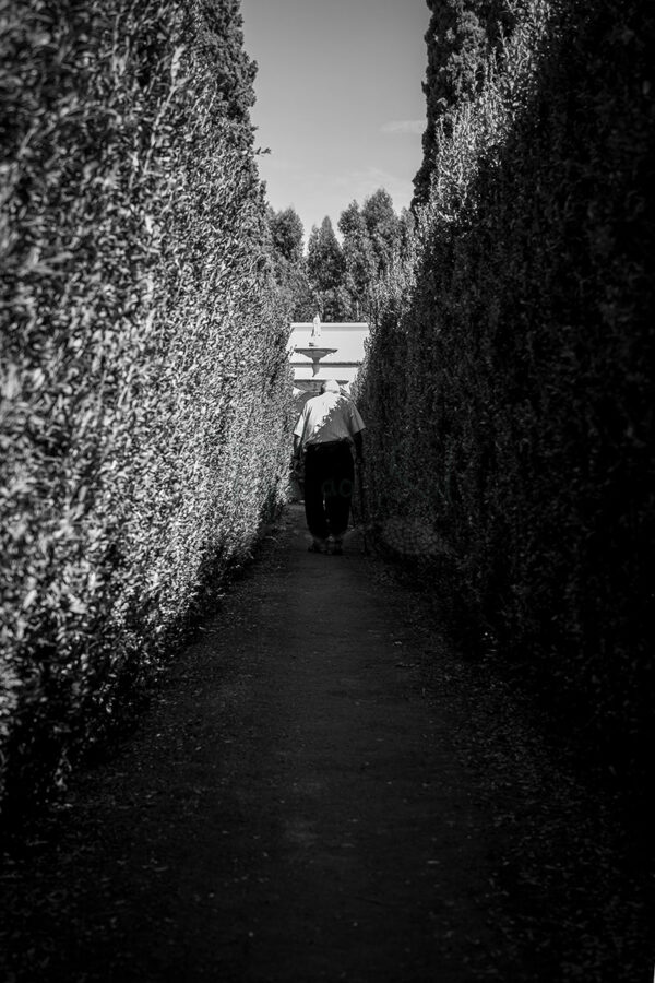 Mosteiro da Cartuxa - Foto 50