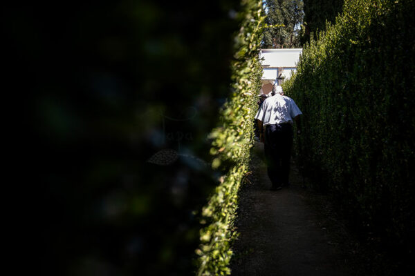 Mosteiro da Cartuxa - Foto 51