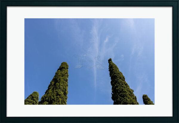 Mosteiro da Cartuxa - Foto 52