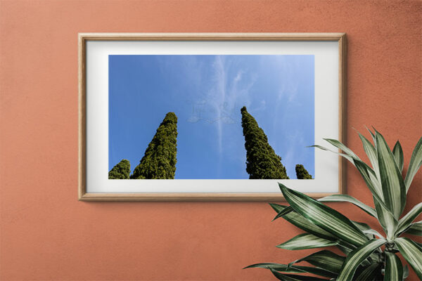 Mosteiro da Cartuxa - Foto 52