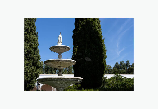 Mosteiro da Cartuxa - Foto 53