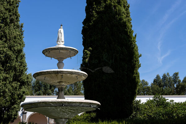 Mosteiro da Cartuxa - Foto 53