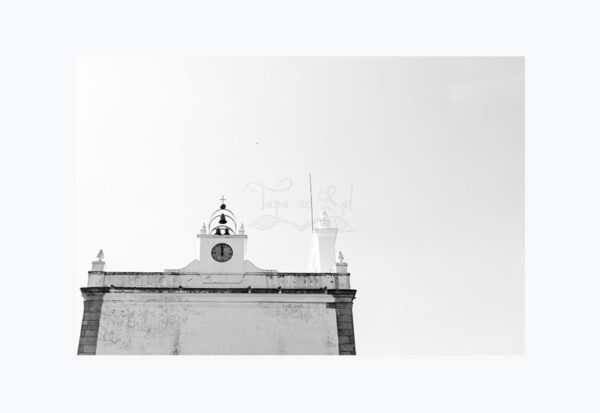 Mosteiro da Cartuxa - Foto 56