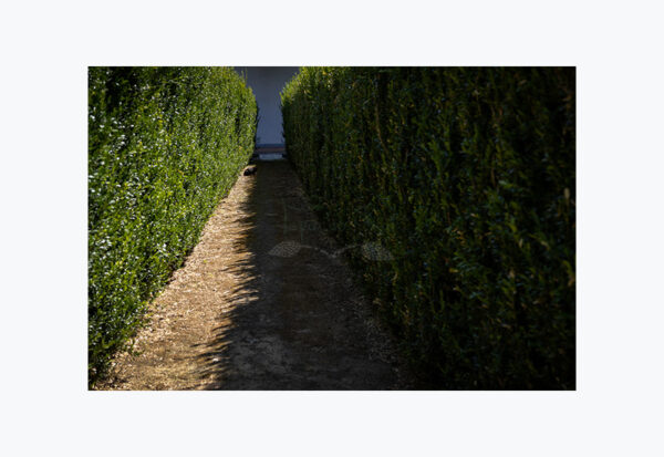 Mosteiro da Cartuxa - Foto 57