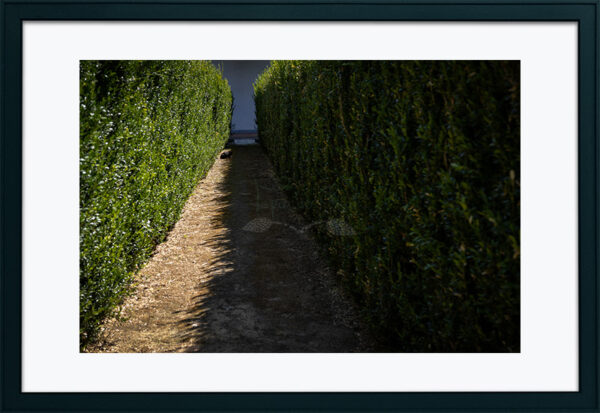 Mosteiro da Cartuxa - Foto 57