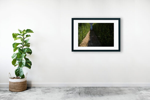 Mosteiro da Cartuxa - Foto 57