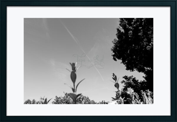 Mosteiro da Cartuxa - Foto 58