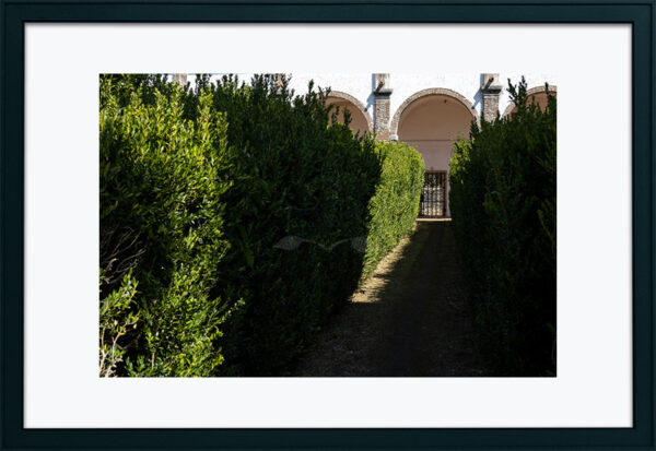 Mosteiro da Cartuxa - Foto 59