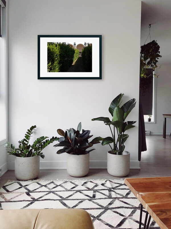 Mosteiro da Cartuxa - Foto 59