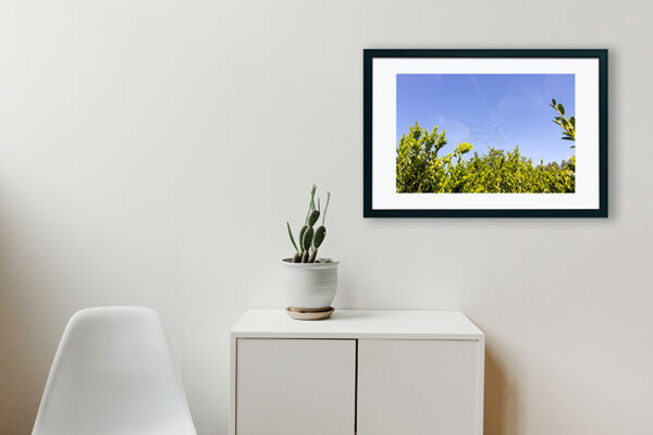 Mosteiro da Cartuxa - Foto 60