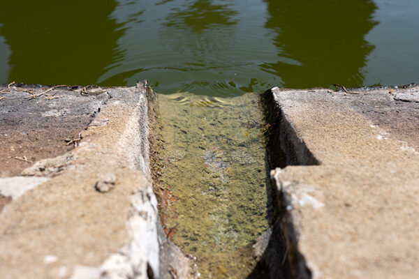 Mosteiro da Cartuxa - Foto 62