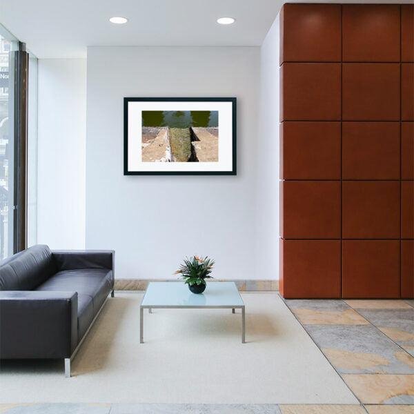 Mosteiro da Cartuxa - Foto 62