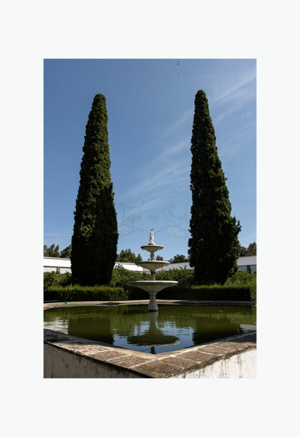 Mosteiro da Cartuxa - Foto 63