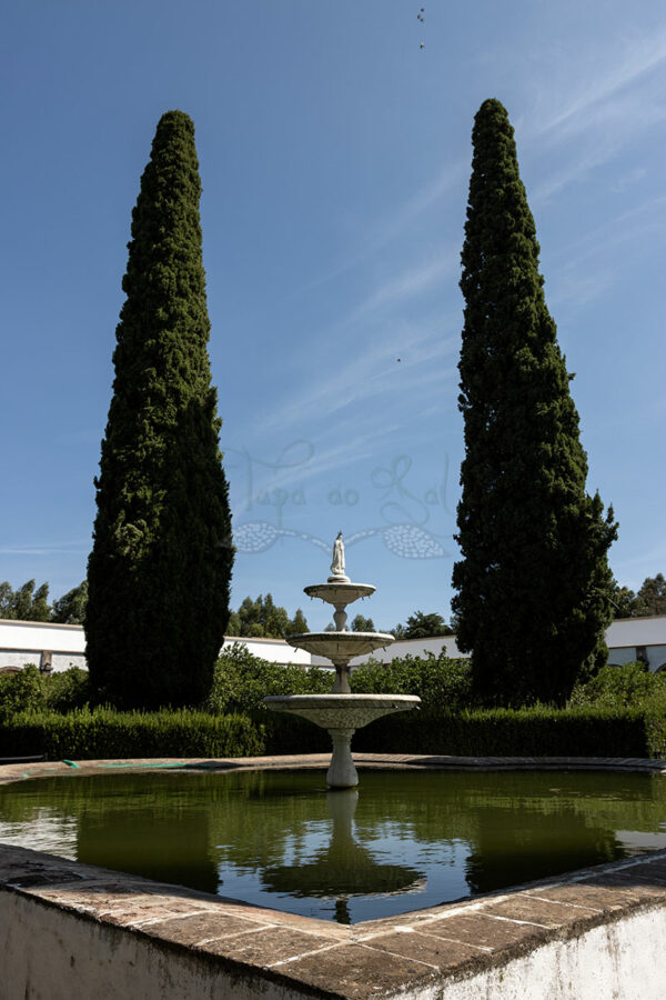 Mosteiro da Cartuxa - Foto 63