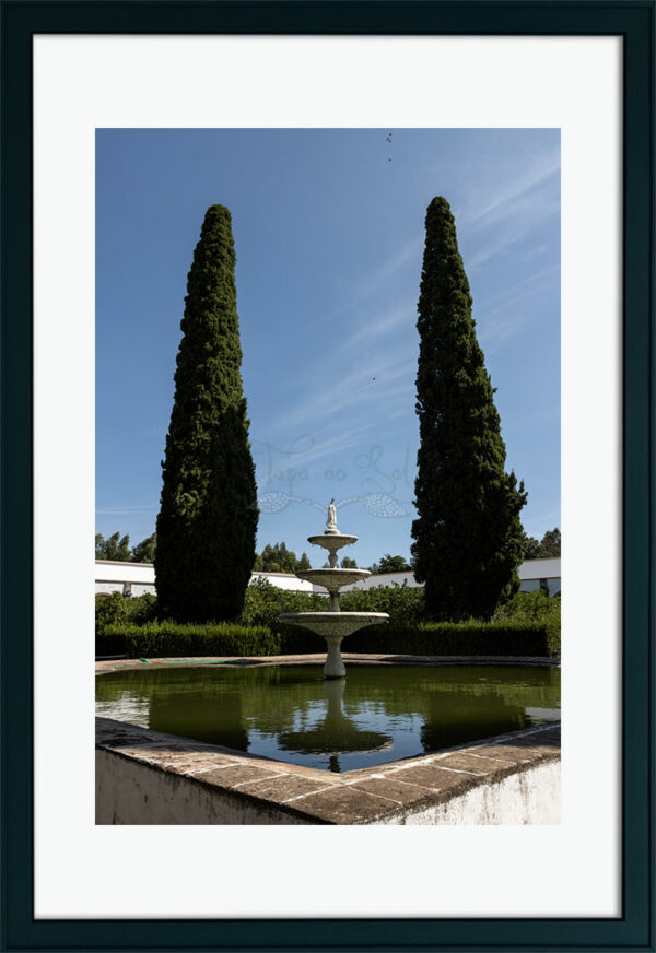 Mosteiro da Cartuxa - Foto 63