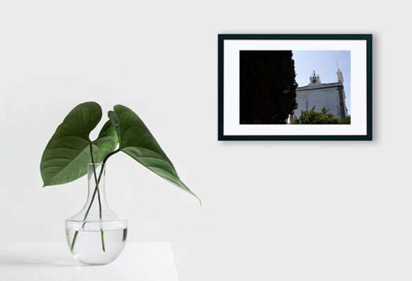 Mosteiro da Cartuxa - Foto 64