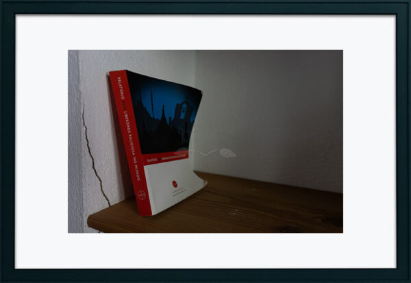 Mosteiro da Cartuxa - Foto 75