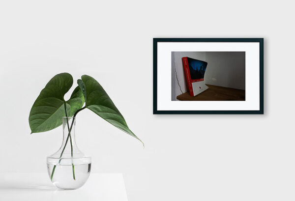 Mosteiro da Cartuxa - Foto 75