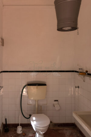 Mosteiro da Cartuxa - Foto 81