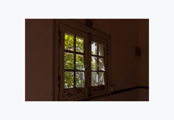 Mosteiro da Cartuxa - Foto 82