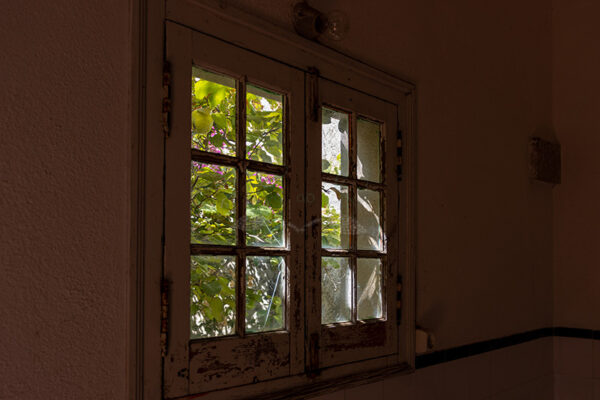 Mosteiro da Cartuxa - Foto 82