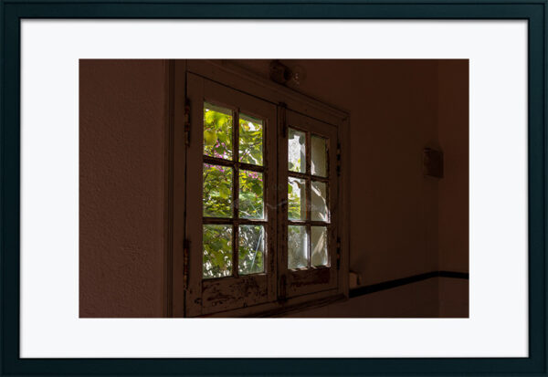 Mosteiro da Cartuxa - Foto 82