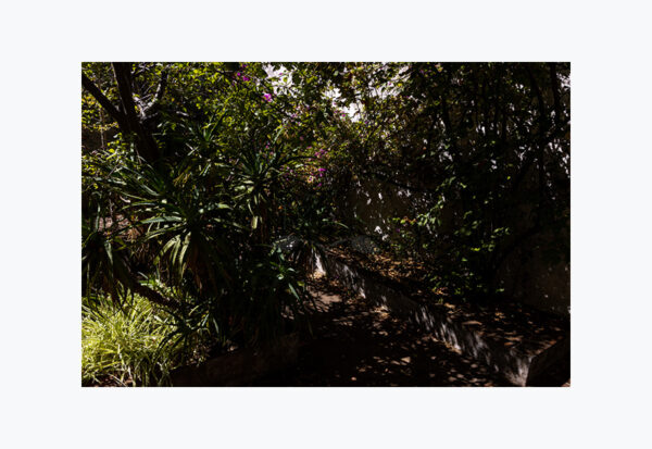 Mosteiro da Cartuxa - Foto 83