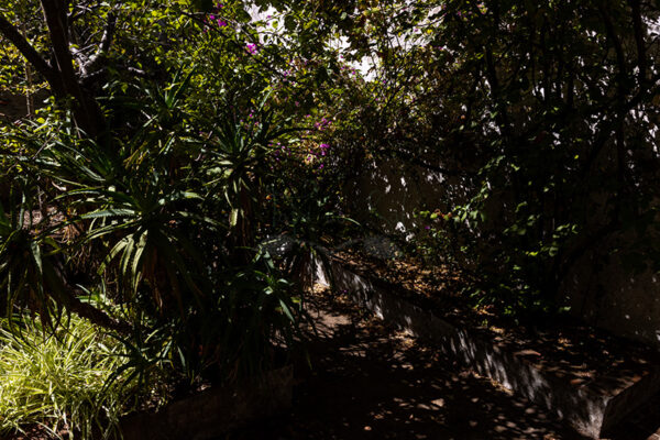 Mosteiro da Cartuxa - Foto 83